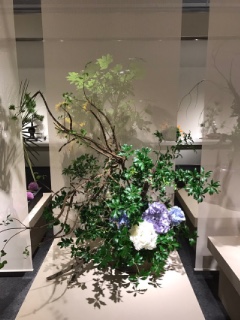 2016�N���{�����΂Ȍ|�p����W