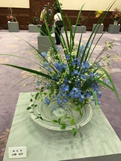 2017�N3�� �ԓW