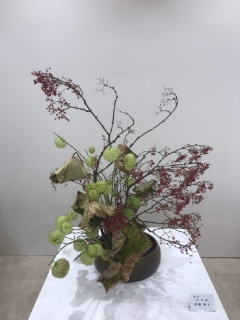 2017�N10�� �_�ˑ�ۉԓW