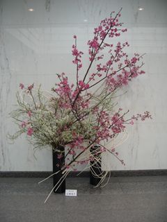 ���r�[�̉�