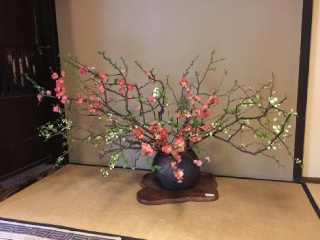 2018�N3�� ���s�G�ہ@������Ɂ@��ƃR���{�W