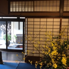 2018�N3�� ���s�G�ہ@������Ɂ@��ƃR���{�W