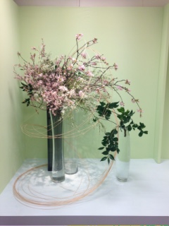 2016�N3�� �V�h�����������΂ȋ���W