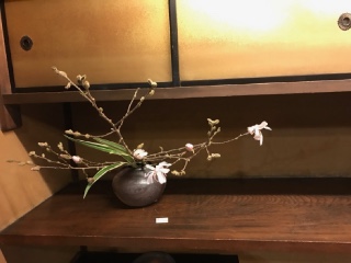 2018�N3�� ���s�G�ہ@������Ɂ@��ƃR���{�W