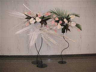 ���r�[�̉ԁi2010�N8���j