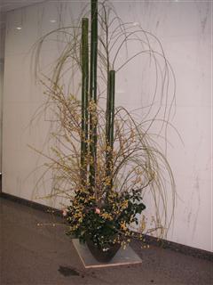 �������̏����