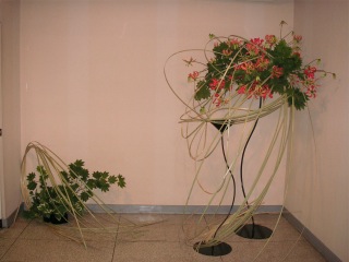 ����W�i2007�N�j