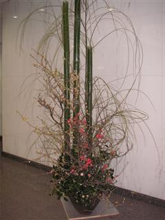 ���r�[�̂�������