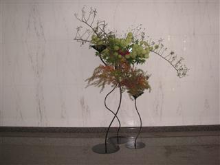 ���r�[�̉ԁi2011�N9���j