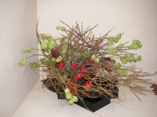 �H�̖��É����≮�W�i2009�N�j