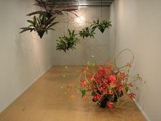 �r�G���i�[���̉ԓW