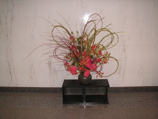 ���r�[�̉ԁi2011�N11���j