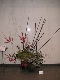 ���r�[�̂�������