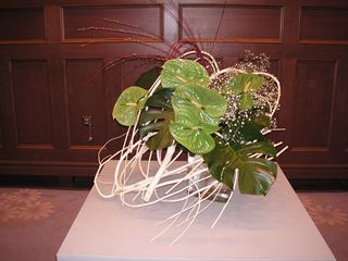 ���Ɍ����فi�}�o�فj�ԓW�i2012�N5���j