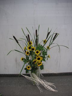 ���r�[�̉�