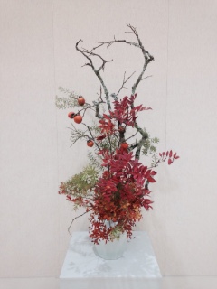 2014�N11���ԓW